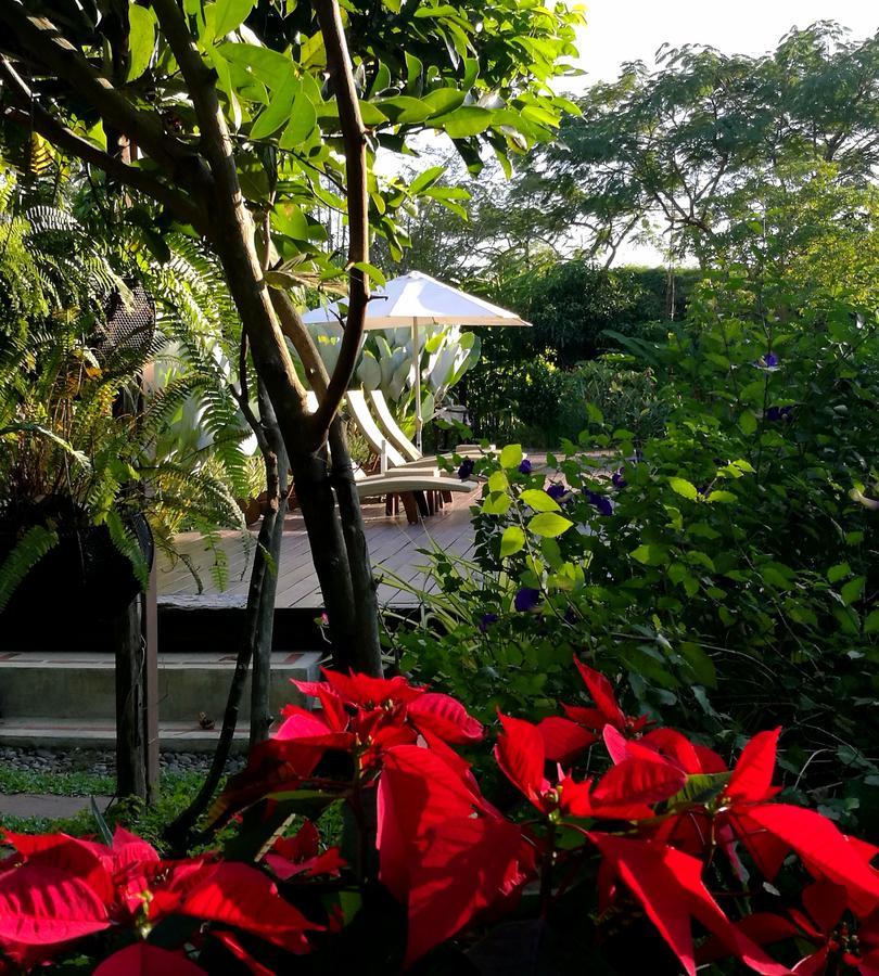 Villa Albizia, Chiang Mai Doi Saket Exterior foto